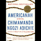 Illustration for article titled 28 Days of Literary Blackness With VSB | Day 4: Americanah by Chimamanda Ngozi Adichie